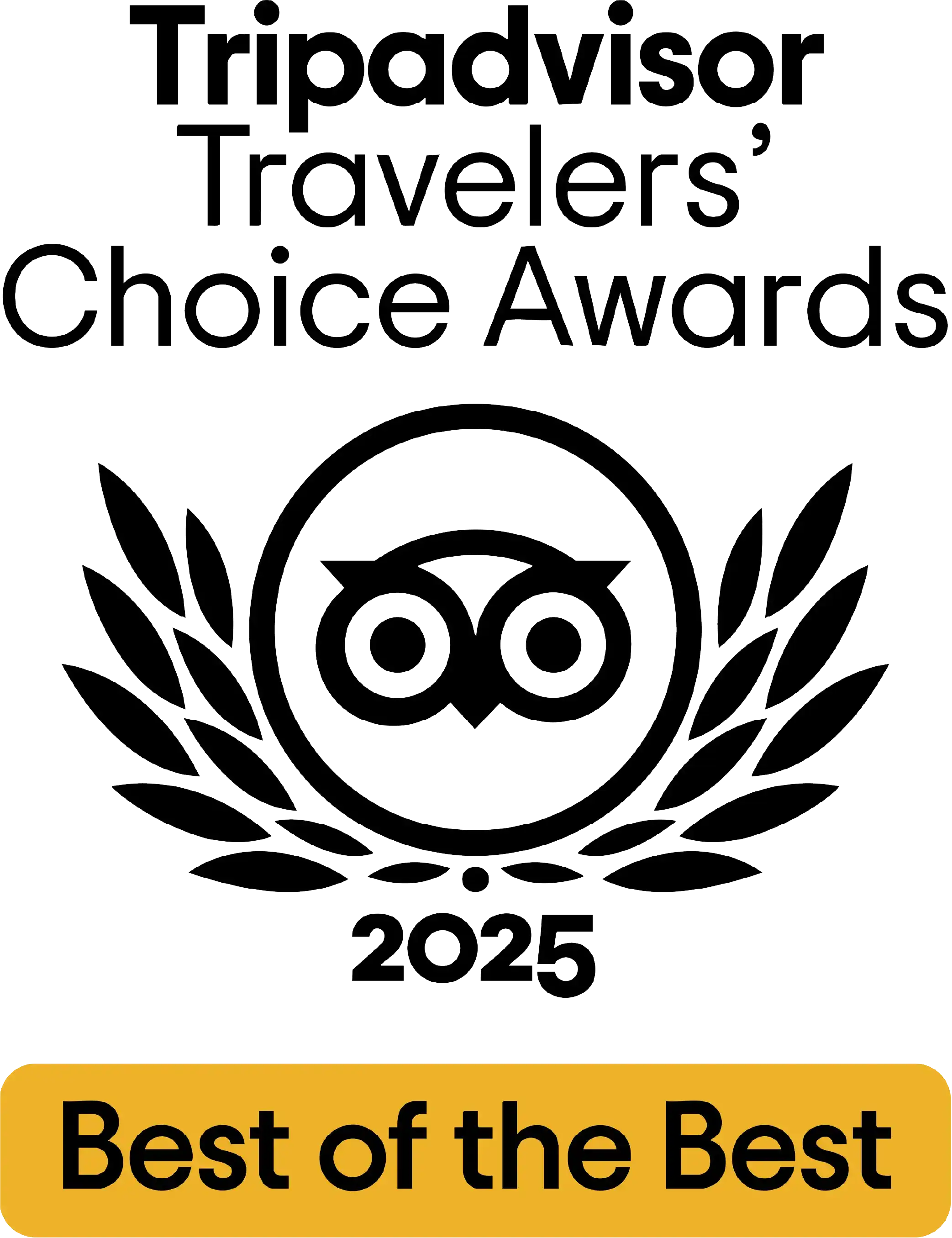 travelers_choise__best_logo